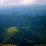 Hills of Coorg