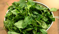A quiet lunch, with greens