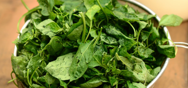 A quiet lunch, with greens
