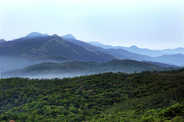 The Hills of Coorg The Hills of Coorg