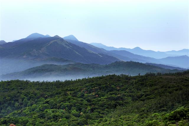 The Hills of Coorg