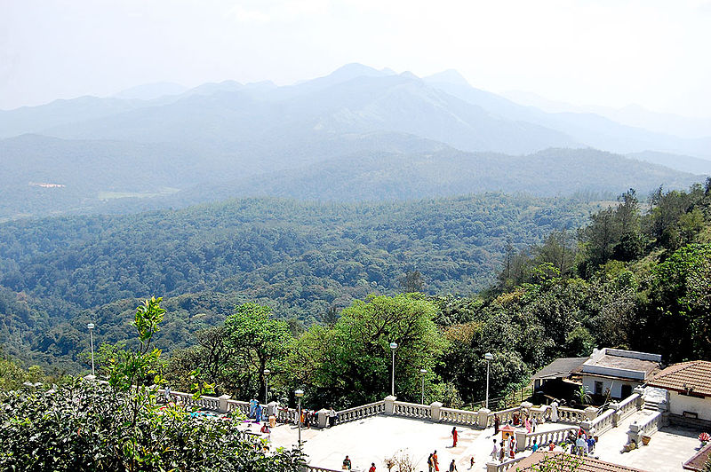 800px-Kodagu Forests near Talakaveri