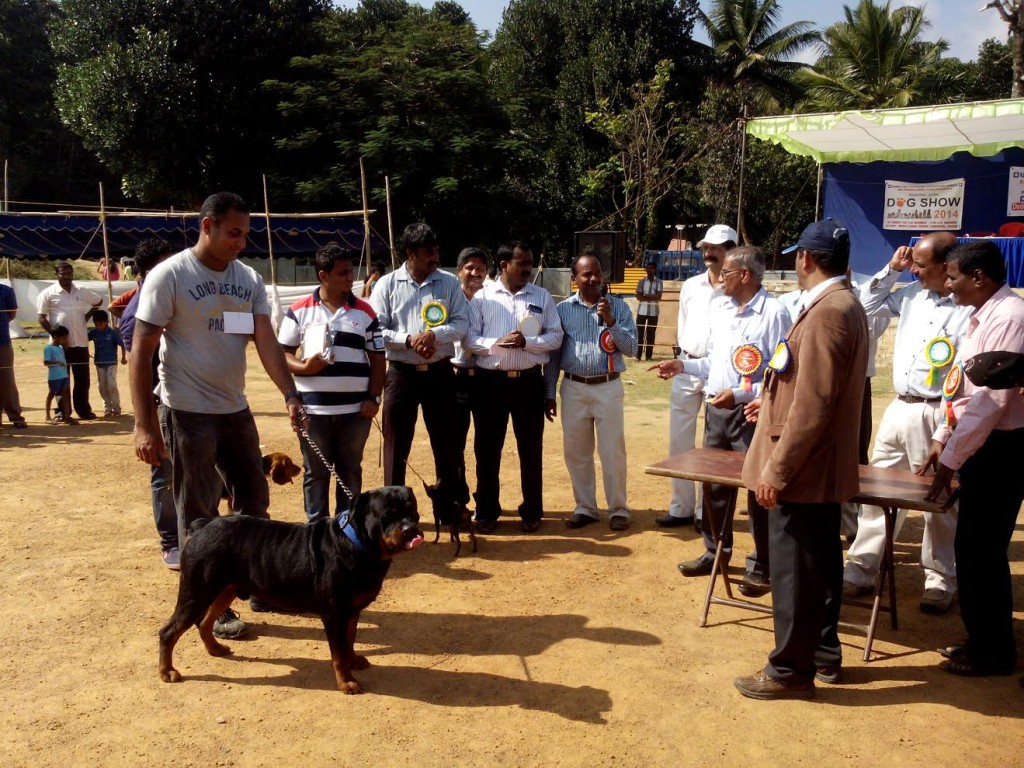 Nanaiah Dog Show Coorg Dog Show Held