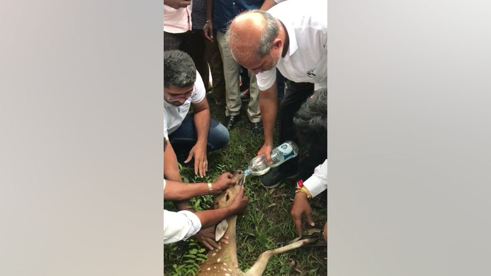 S R Mahesh helping deer District-In-Charge Minister comes to rescue an injured deer