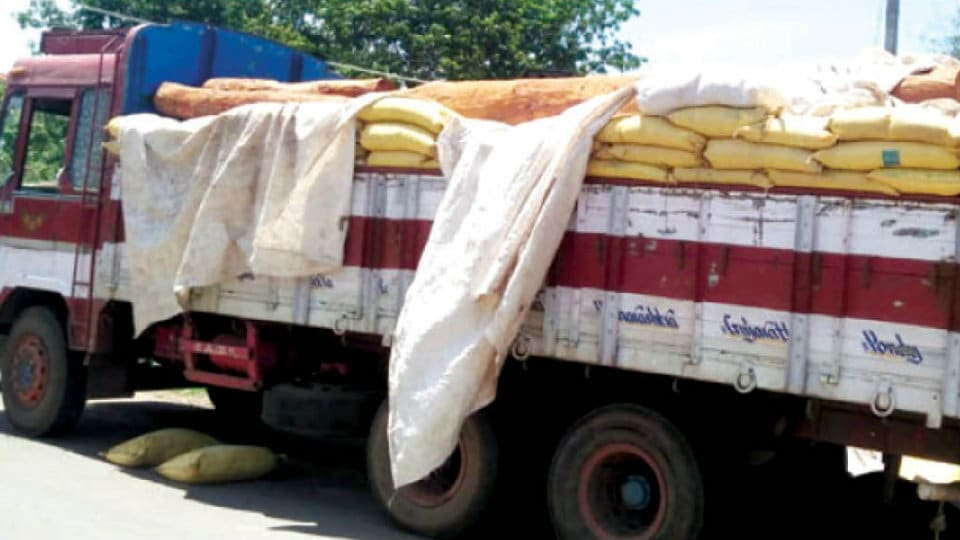 Timber worth crores of rupees stocked at a house in seized