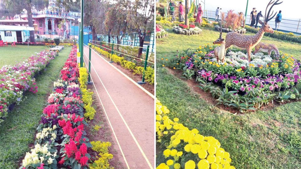 Three-day Flower Show to open in Madikeri tomorrow