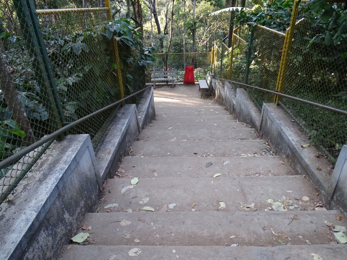 Stepped Pathway leading to Abbi Falls