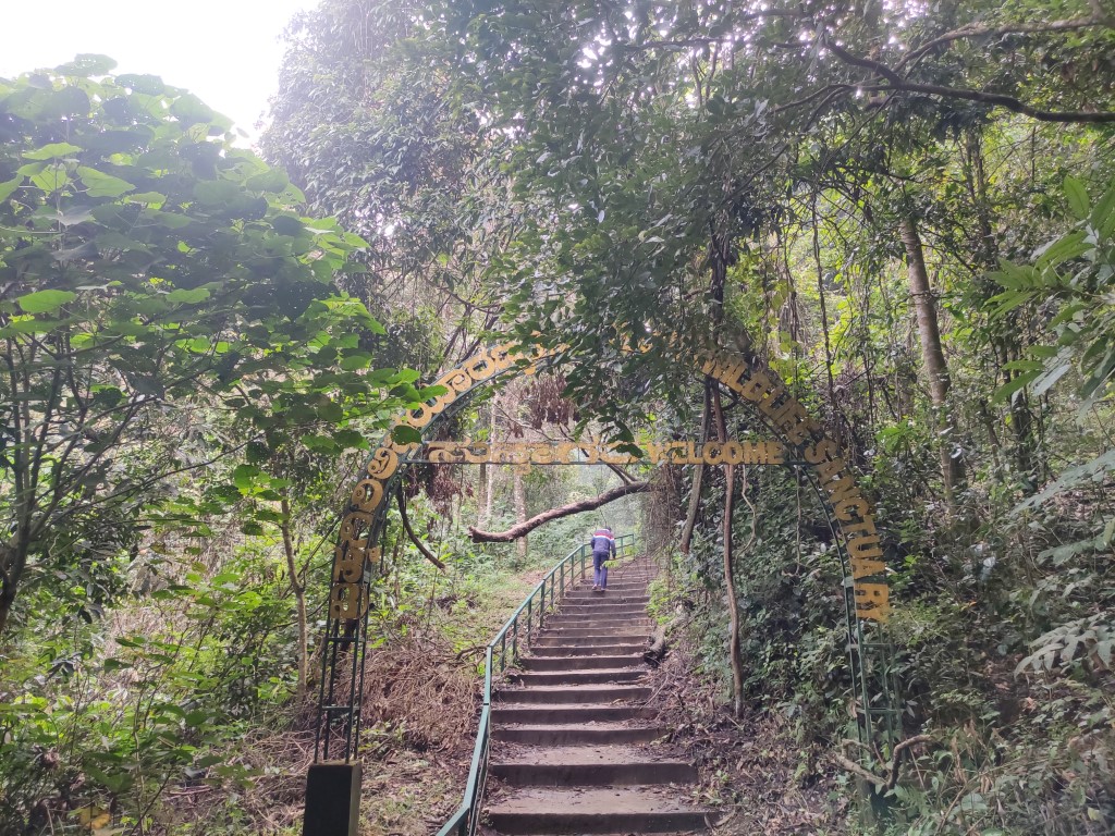 Steps leading to Irpu waterfalls