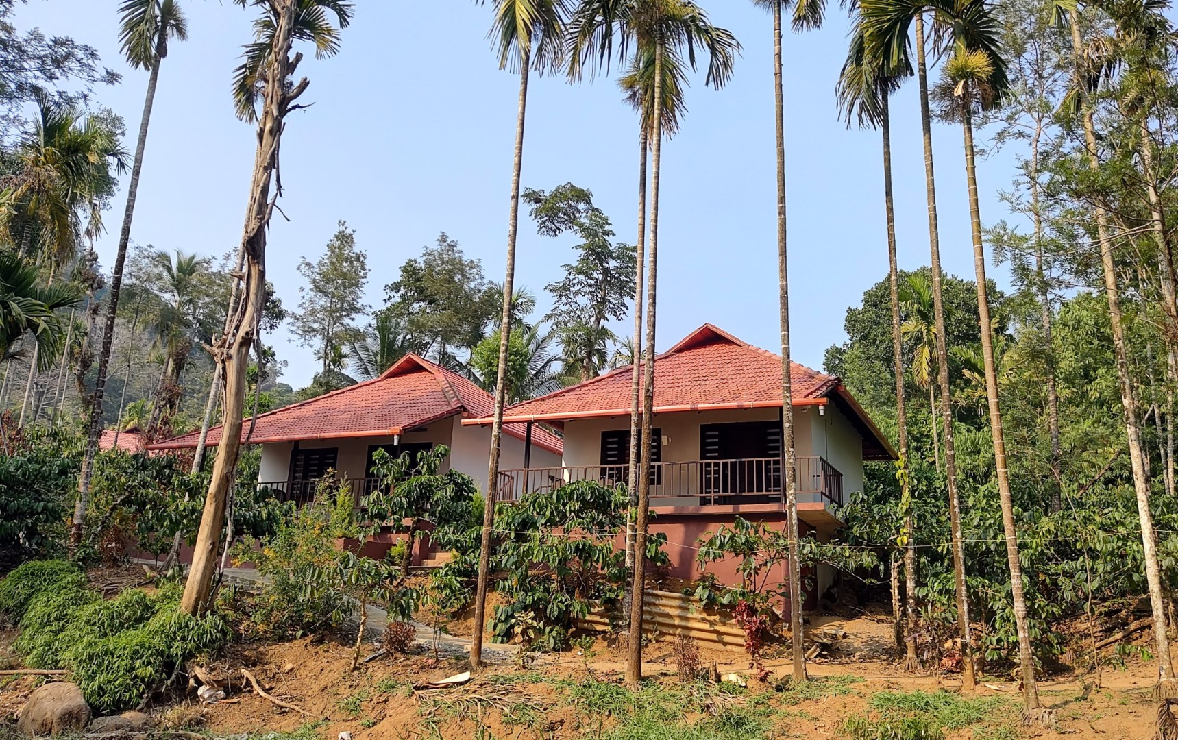 Beck Cottage at Coorg