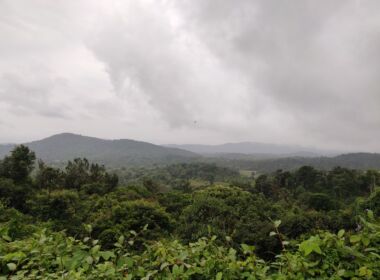 View of Coorg Hill Ranges