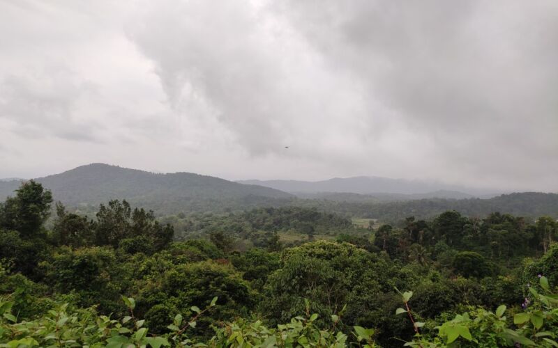View of Coorg Hill Ranges